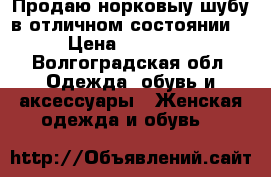 Продаю норковыу шубу в отличном состоянии. › Цена ­ 25 000 - Волгоградская обл. Одежда, обувь и аксессуары » Женская одежда и обувь   